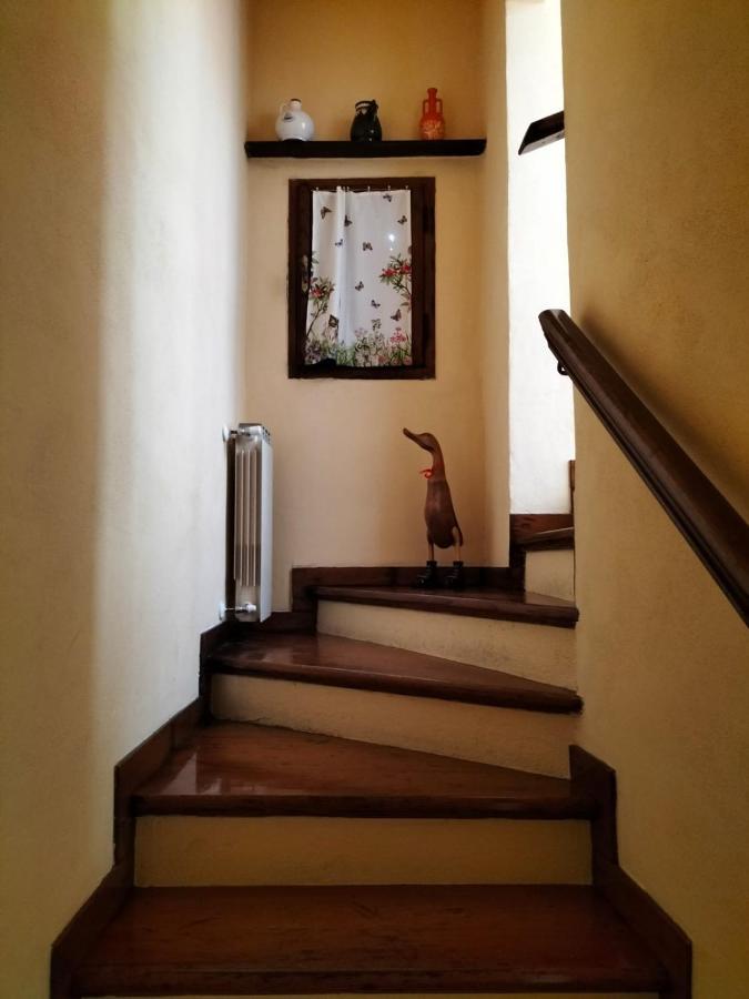 Willa Casina Morogina Cortona Zewnętrze zdjęcie